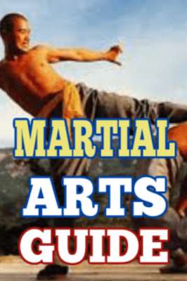 Play Martial Arts Introduction 