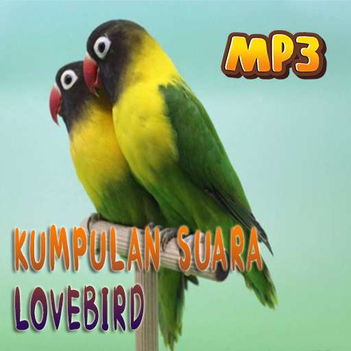 Play APK Masteran suara burung Lovebird  and enjoy Masteran suara burung Lovebird with UptoPlay com.andromo.dev519044.app528558
