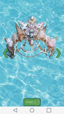 Play Mermaid Crown Photo Montage 