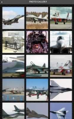 Play Mikoyan MiG-29 FREE 