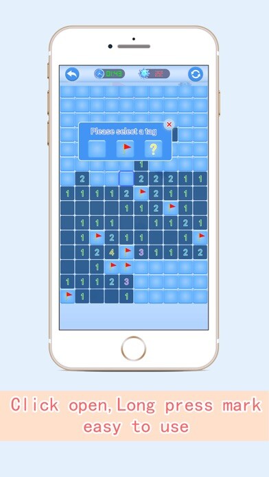 Play Minesweeper Professional 