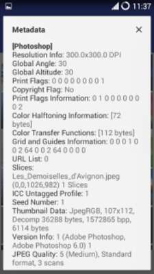 Play MiX Metadata (MiXplorer Addon) 