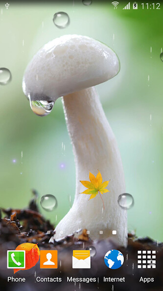 Play Mushrooms Live Wallpaper 