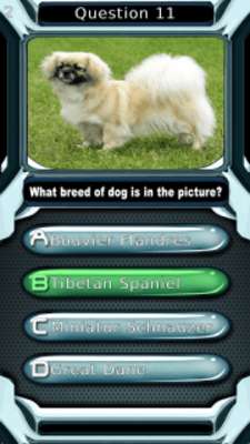Play My Dog Breeds Quiz HD 