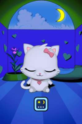 Play My Lovely Kitty ! 