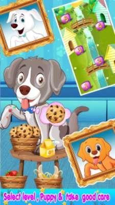 Play My Puppy Pet! Town Doctor 