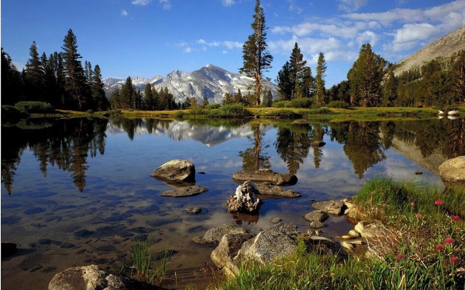 Play APK National Park Jigsaw Puzzles  and enjoy National Park Jigsaw Puzzles with UptoPlay com.yodesoft.android.game.yojigsaw<br>***** PRO FEATURES *****<br>* Ad Free.<br>* HD Puzzle Themes.<br>* Landscape Mode.<br>* More Puzzle Pieces.<br>* More Puzzle Backgrounds.<br><br>***** MORE ***** <br>Online web puzzle game for Browsers: <br>https://www.yojigsaw.com<br><br>Search 