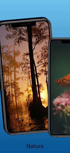 Play Nature Background Wallpaper 