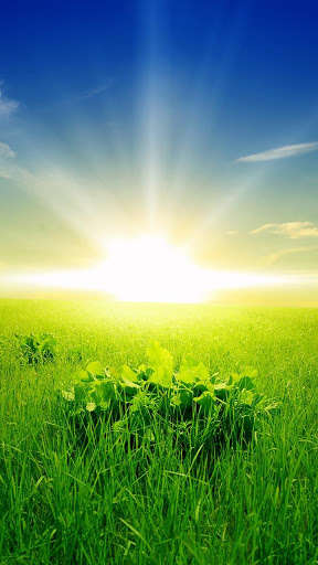 Play Nature Bliss Live Wallpaper 