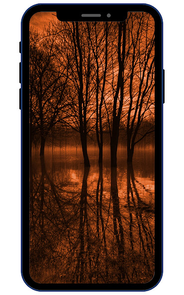 Play APK Nature Wallpapers  and enjoy Nature Wallpapers with UptoPlay ikyaglobal.naturewallpapers
