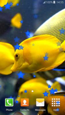 Play Neon Fish Live Wallpapers Play Neon Fish Live Wallpapers