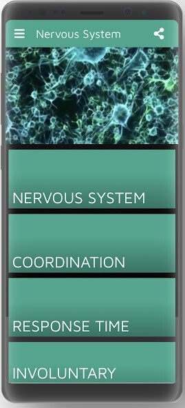 Play APK Nervous System  and enjoy Nervous System with UptoPlay wwk.wikikids.com.nervoussystem