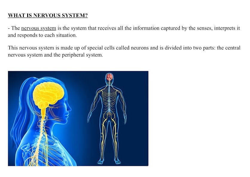 Play APK Nervous System  and enjoy Nervous System with UptoPlay wwk.wikikids.com.nervoussystem