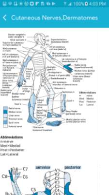 Play Neurology Essentials 