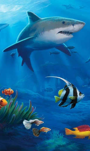 Play APK Ocean Aquarium 3D Free LWP  and enjoy Ocean Aquarium 3D Free LWP with UptoPlay com.ocean.free.aquarium.livewallpaper