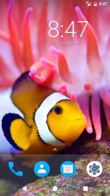 Play Ocean Fish HD Wallpapers 
