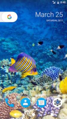 Play Ocean Fish HD Wallpapers 