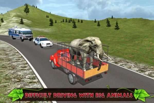 Play Offroad Transport Zoo Animals 
