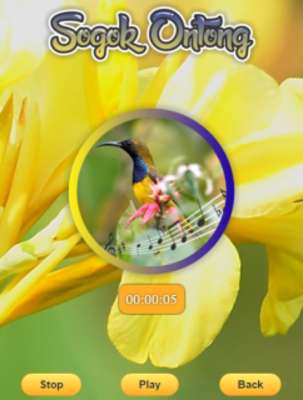 Play Olive-backed Sunbird 