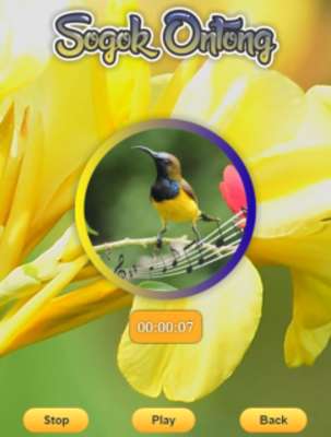 Play Olive-backed Sunbird 