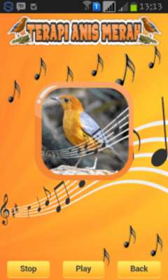 Play Orange-Headed Thrush Therapy 
