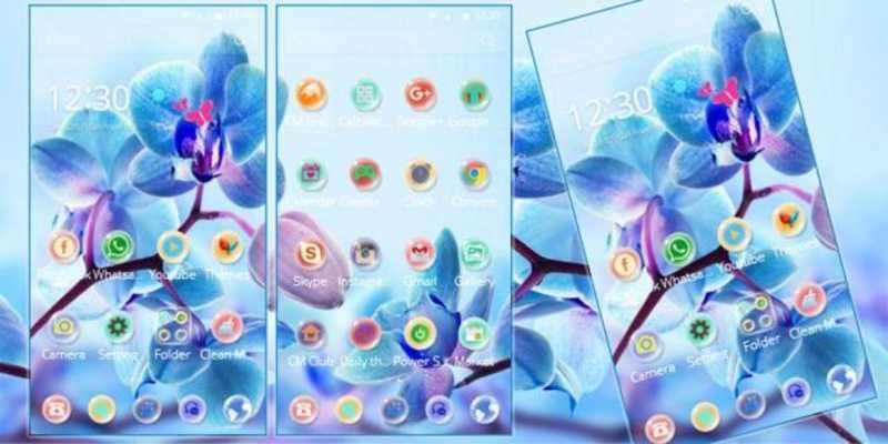 Play Orchid Flower Theme blossom 