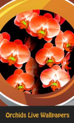 Orchids Live Wallpapers online game with UptoPlay