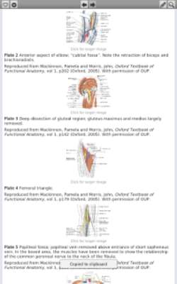 Play Oxford Handbook of Med Sc 2Ed 