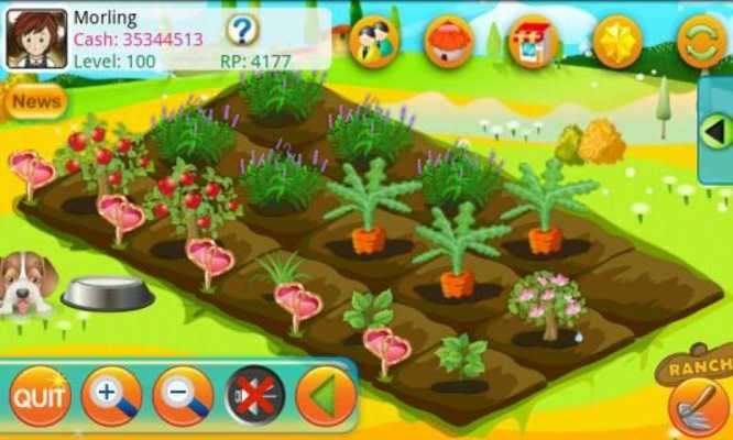 Play Papaya Farm HD 