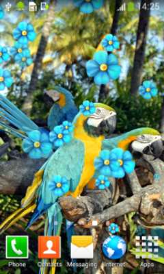 Play Parrots Live Wallpapers 