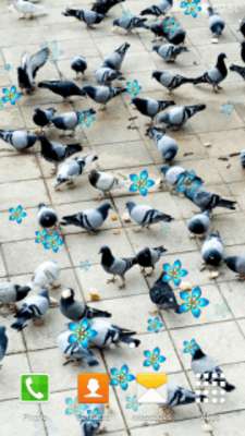 Play Peaceful Doves Live Wallpapers 