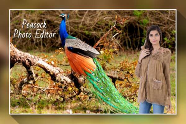 Play Peacock Photo Editor - Peacock Feather Editor 