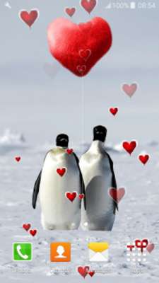Play Penguin Live Wallpapers Play Penguin Live Wallpapers