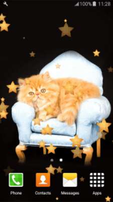 Play Persian Cats Live Wallpapers 