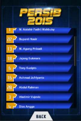 Play PERSIB 2015 