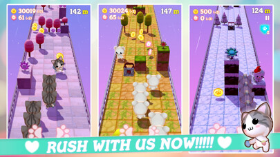 Play APK Pet Pet Rush  and enjoy Pet Pet Rush with UptoPlay com.gawooni.PetPetRush
