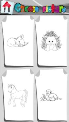Play Pets Coloring Book 