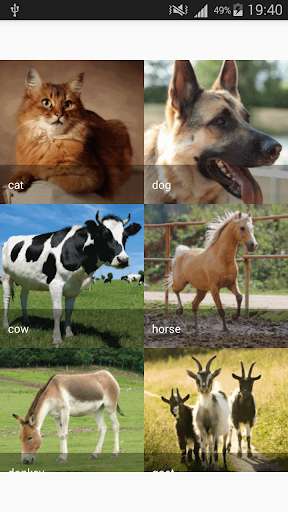Play APK Pets sounds  and enjoy Pets sounds with UptoPlay com.he4aeb.soundsofafrica