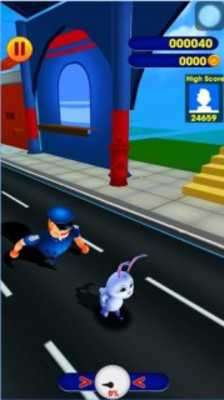 Play Pet Subway Surfes 3D 