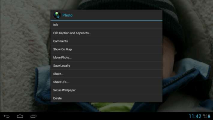 Play pFolio, for Picasa and Google+ 