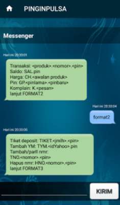 Play PINGINPULSA Play PINGINPULSA