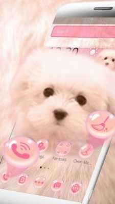 Play Pink Cute Puppy Theme 