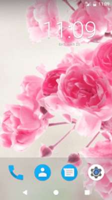 Play Pink Rose HD Wallpapers 