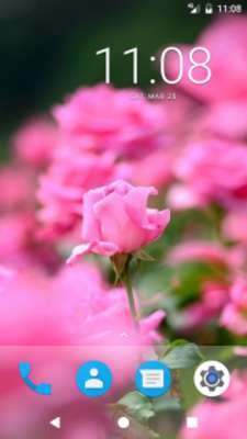 Play Pink Rose HD Wallpapers 