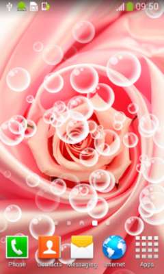Play Pink Roses Live Wallpapers 