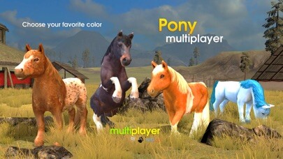 Play Pony Multiplayer 