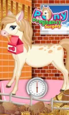 Play Pony Pregnancy Maternity 