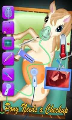 Play Pony Pregnancy Maternity 