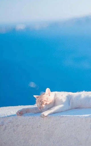 Play Pretty HD Wallpapers 