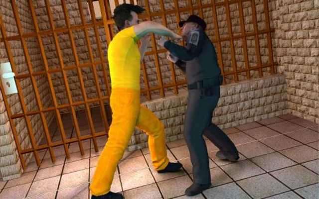 Play Prisoner looker escape 